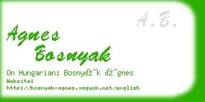 agnes bosnyak business card